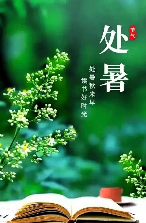提醒各位，8月23号了。老话说：处暑天还暑，好似秋老虎；处暑无三日，新凉直万金