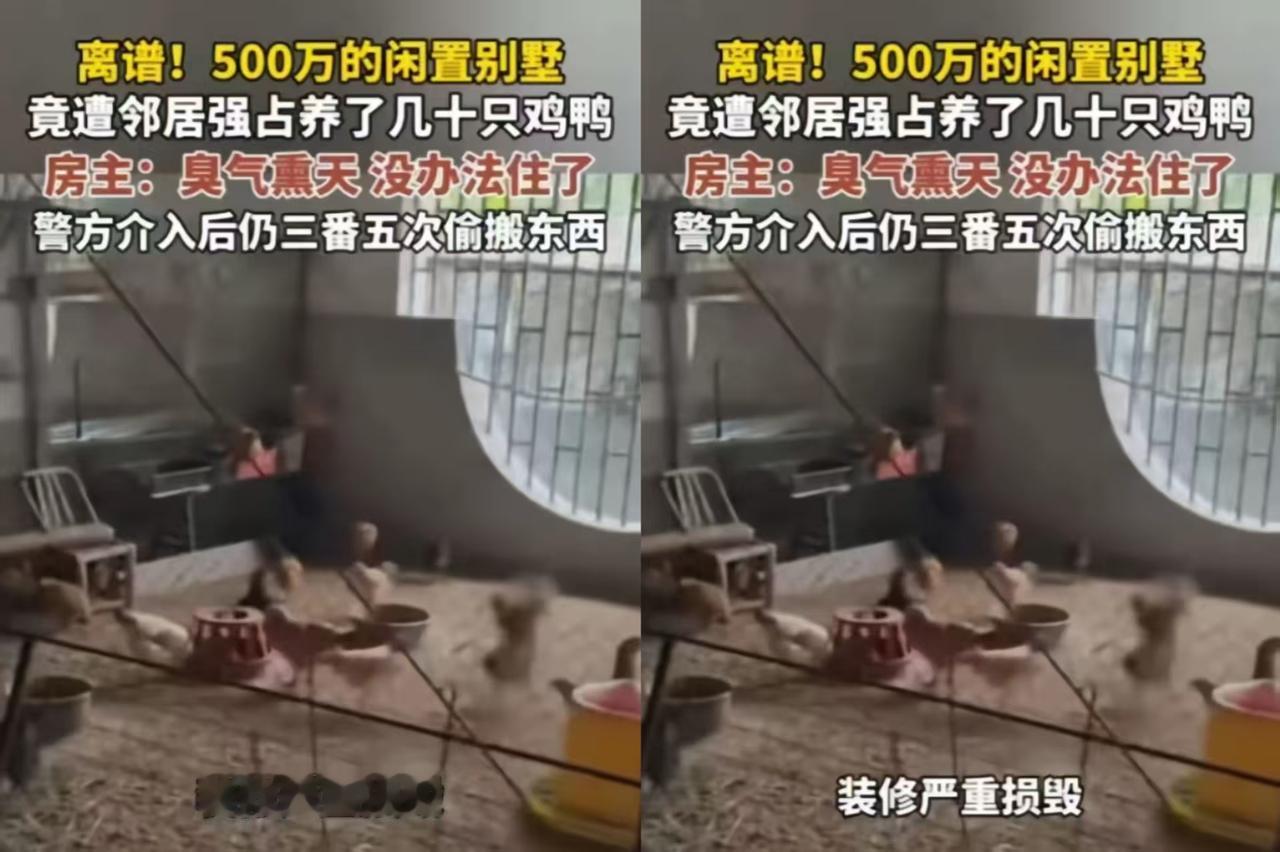 福建一男子回老家祭祖，推开自家闲置多年的别墅大门，眼前一幕气得他浑身发抖，当场就