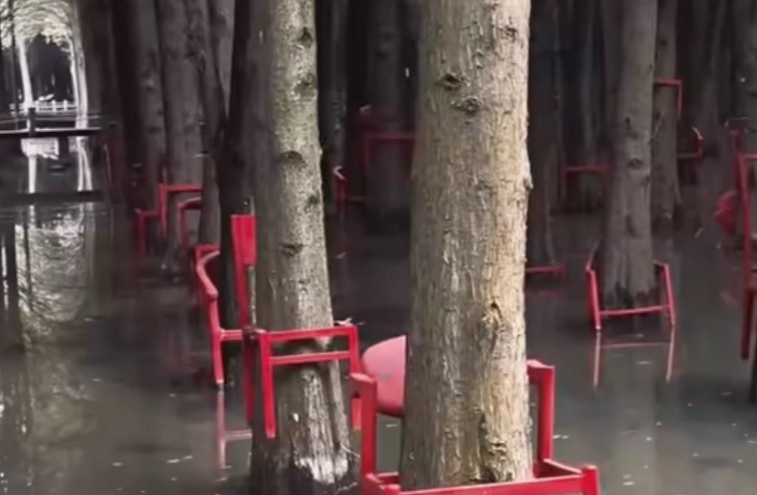 云南昆明捞渔河湿地公园的一波操作，把不少网友看懵了：园里每棵水杉的树根处，都严严