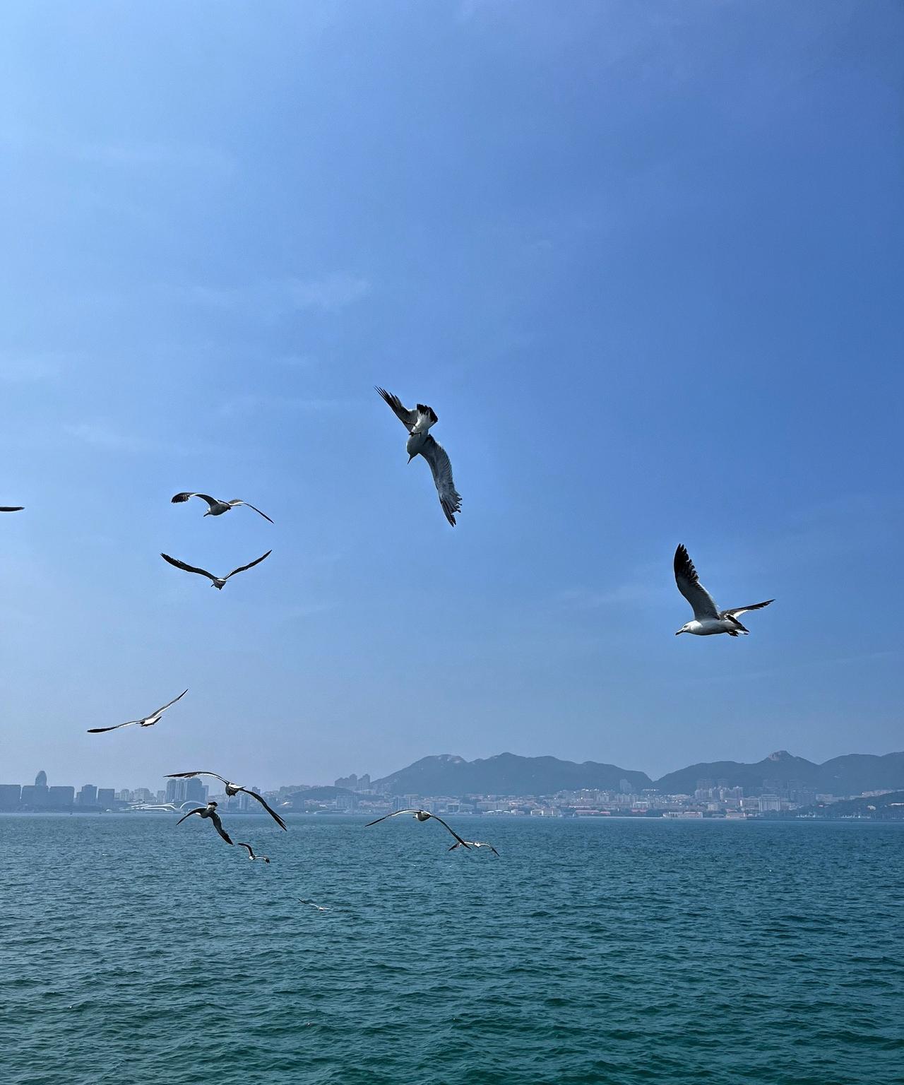 非常通透的一段话：“我们生命中最大的本钱不是金钱，不是权力，甚至不是知识，也不是