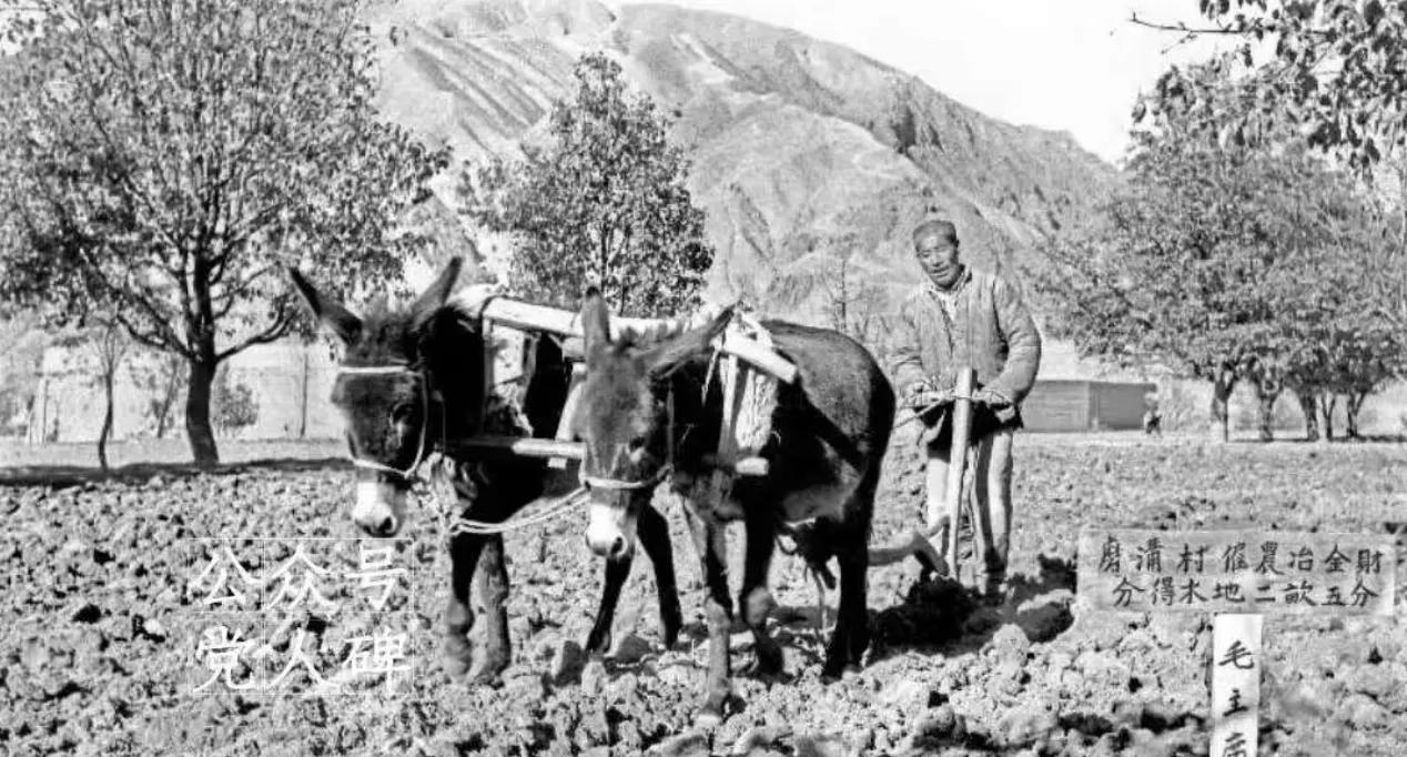 地主阶级的还乡团真甘心失败吗？1964年11月17日，“死”在外地15年的张和
