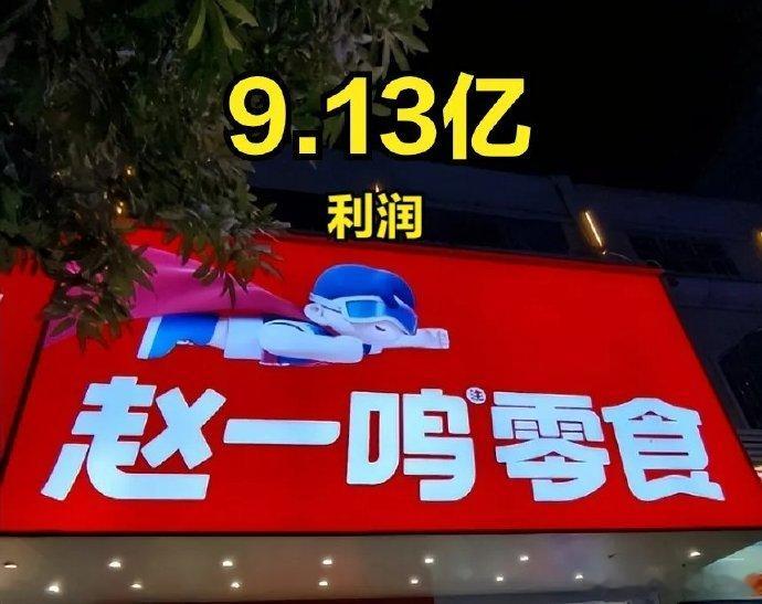 “5家连锁零食2024年利润”1.鸣鸣很忙（赵一鸣、零食很忙）：利润9.13亿，