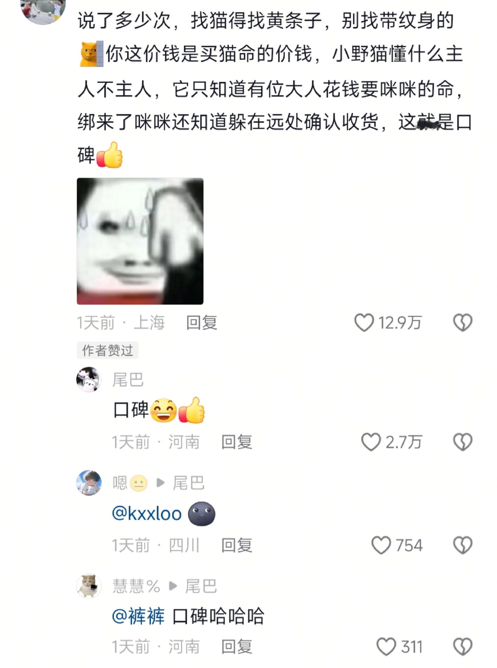 狸花猫在找猫届确实很有口碑​​​
