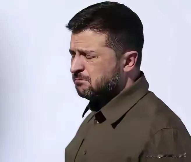 泽连斯基这下是真的凉透了心！刚在匈牙利国会选举中拿下压倒性胜利的蒂萨党主席毛焦尔