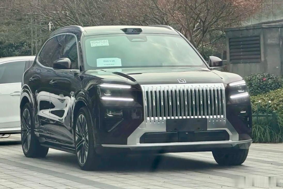 之前我以为，极氪8X这种偏动感的车身姿态、配上大号镀铬前格栅这种偏威严的设计手法