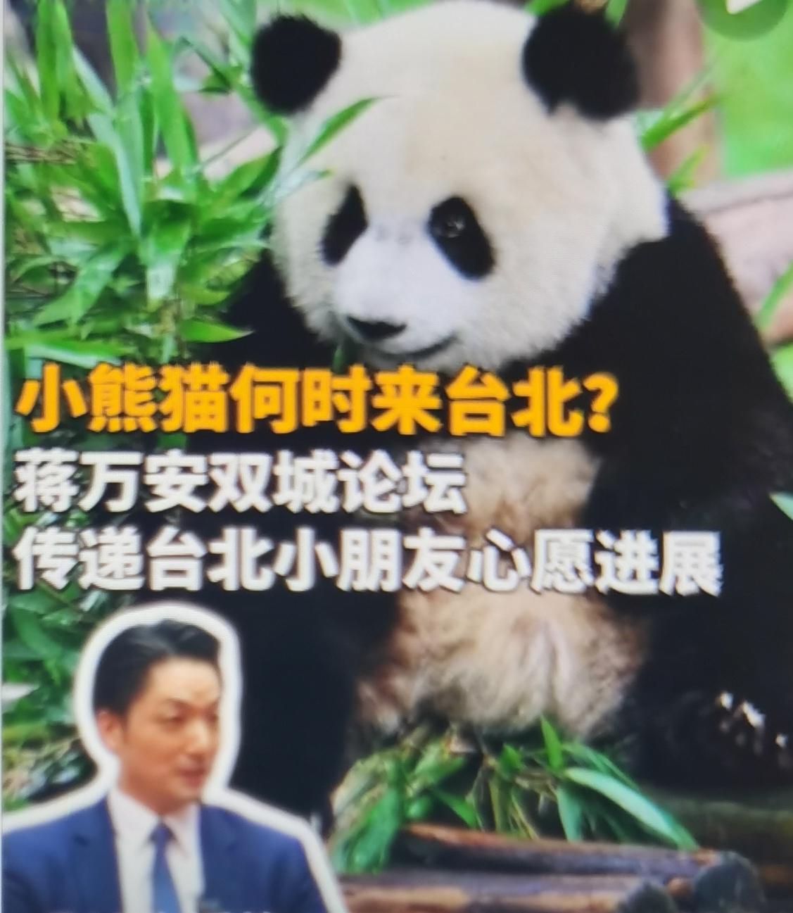 12月28日“上海台北城市论坛”上，蒋万安传递台北孩童“小熊猫何时来”的心愿，同