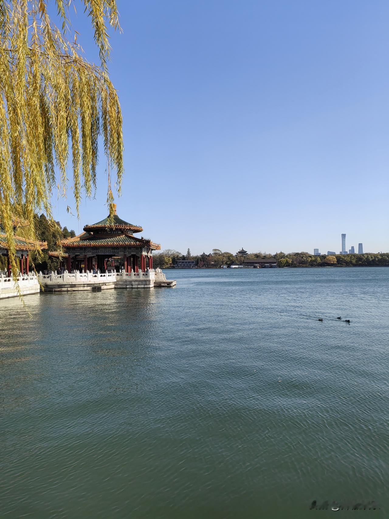 听说北京下雪了。我们去的那个月份真的是刚刚好。