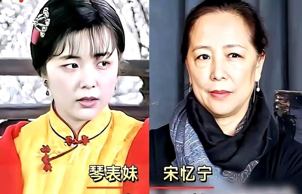 拍完红楼梦，林黛玉成了病弱表姐，薛宝钗竟沦为丫鬟。这事就发生在87年。陈晓旭