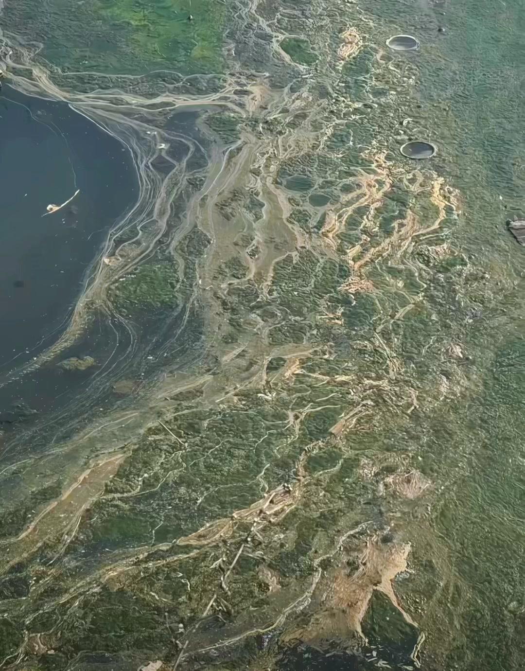 地球上最完美地形是它？🌍之前总觉得平原、高山才是绝美地形，直到看到这张地形图，
