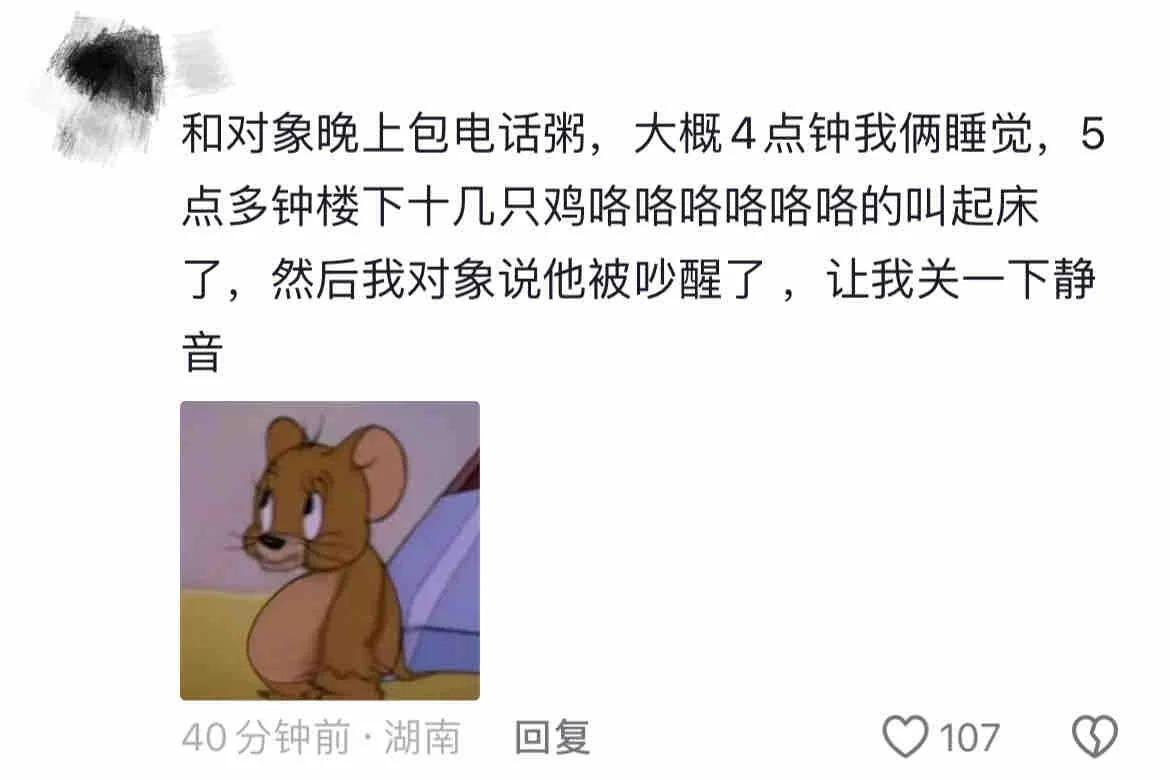 现在是农村网恋频道：