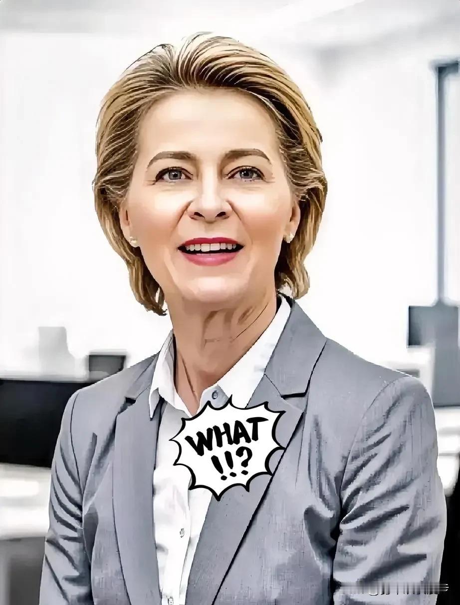 欧盟委员会正式宣布，一口气通过了235个跨境能源项目的支持名单。这个在12月1日