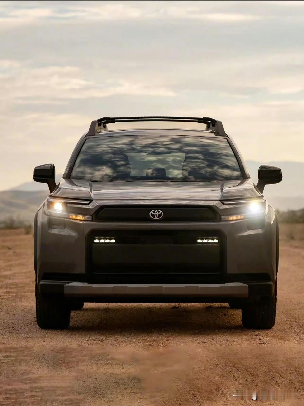 我的汉兰达由于长期不开已经没电了，我接了一次电放了一段时间以后又没电了。现在已经