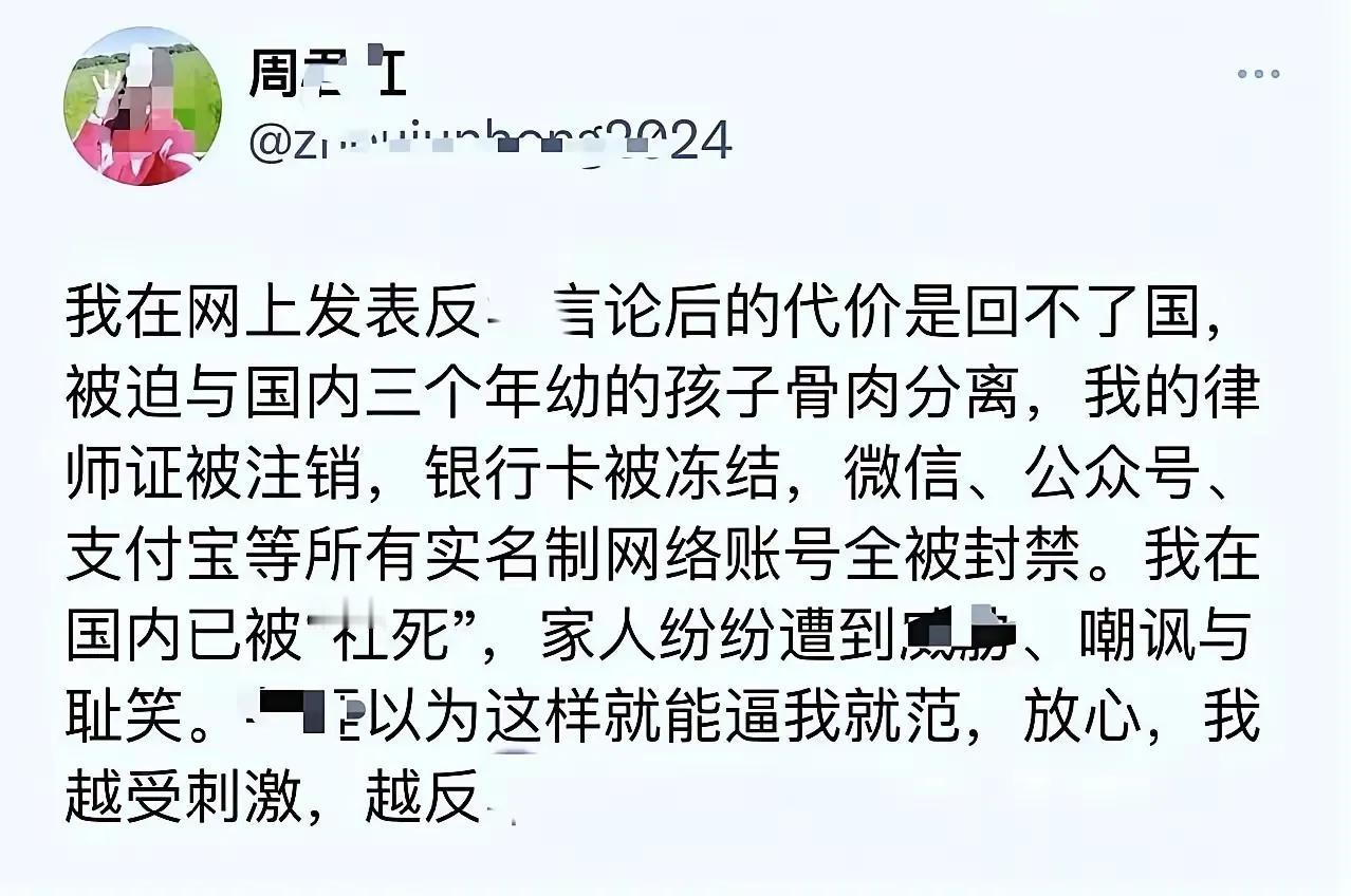 润人在身在国外通过抹黑国家挣钱，以为神不知鬼不觉，觉得这种钱好赚，结果自己的证件