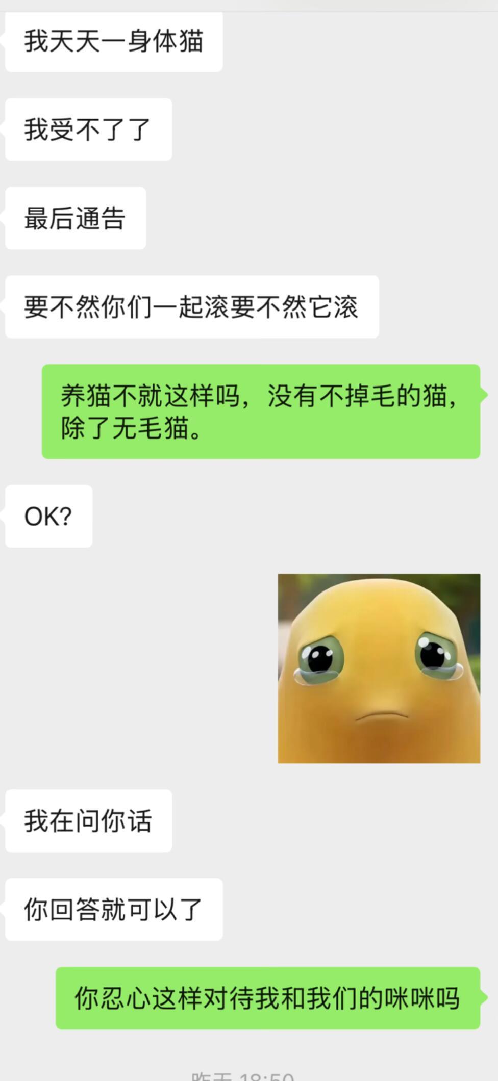 男朋友太嫌弃我的猫掉毛怎么办