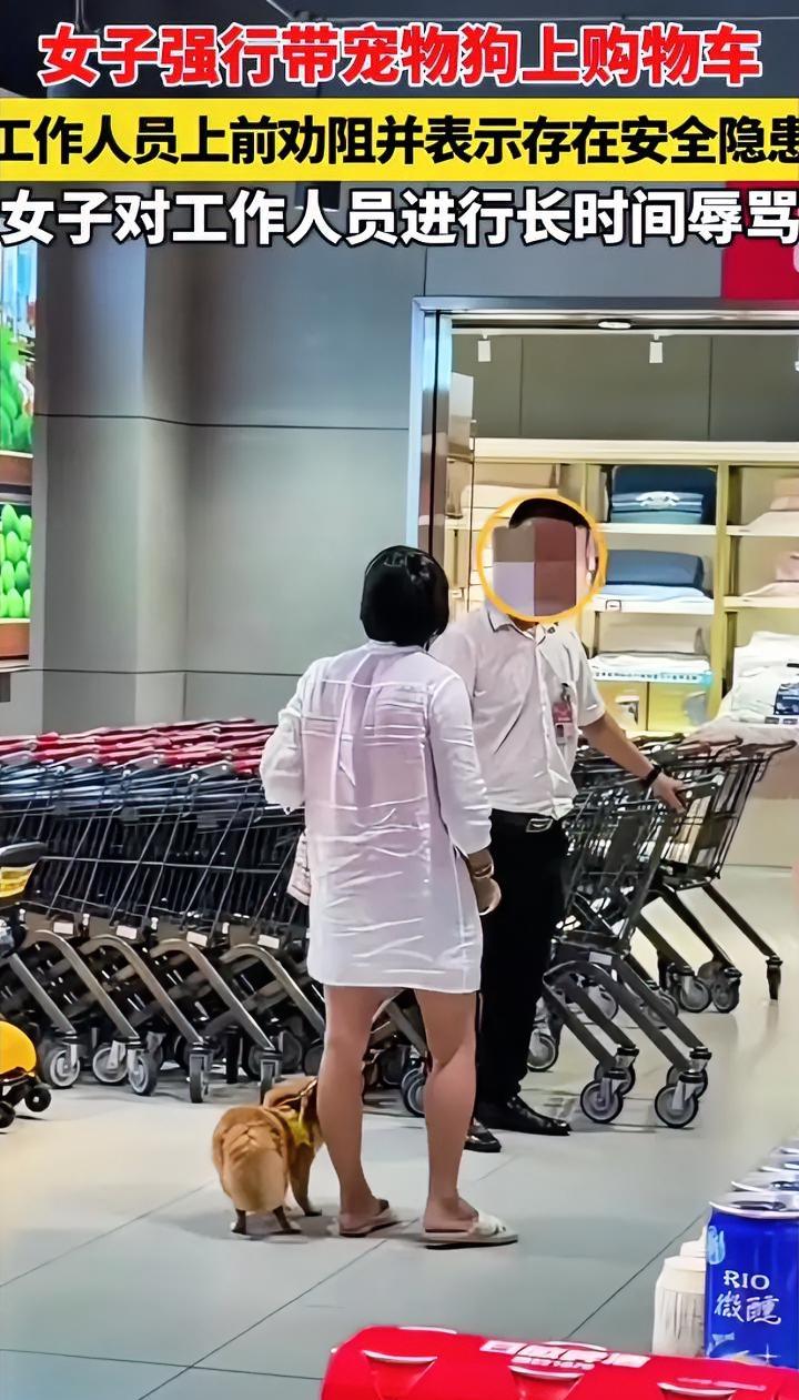 购物车是装商品的，不是装狗的。海南三亚一女子在超市长时间追着工作人员辱骂，就因
