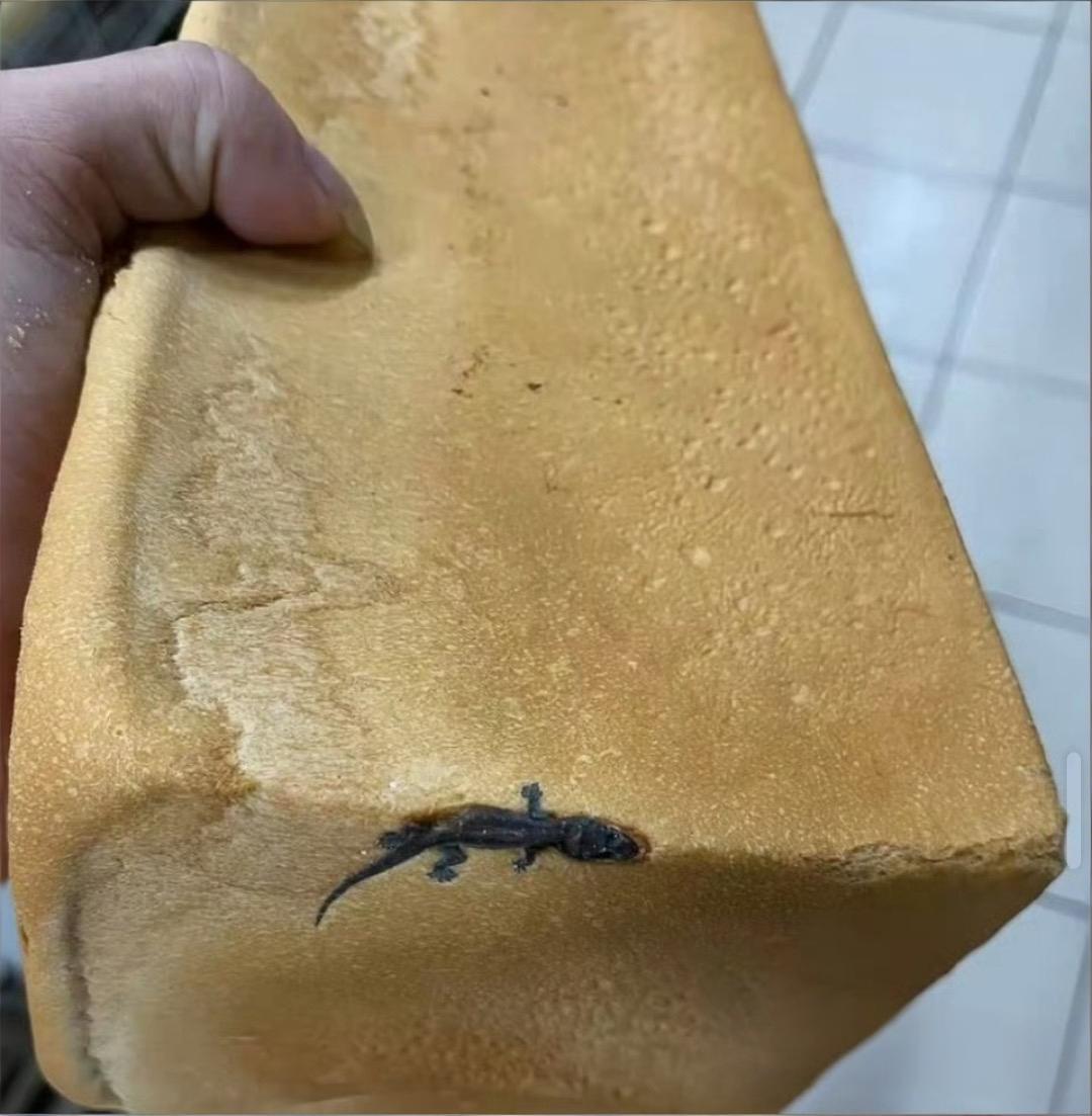 买一送一吗？还带点荤腥吗？