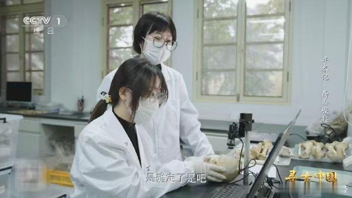 研究发现秦人鼻子宽面形低秦人的祖先从哪来甘肃清水李崖遗址，商式方唇陶器与葬俗