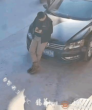 这也太有福气了吧！🐧✨喜鹊主动落手上，这可是天降大喜、好运自来的兆头！