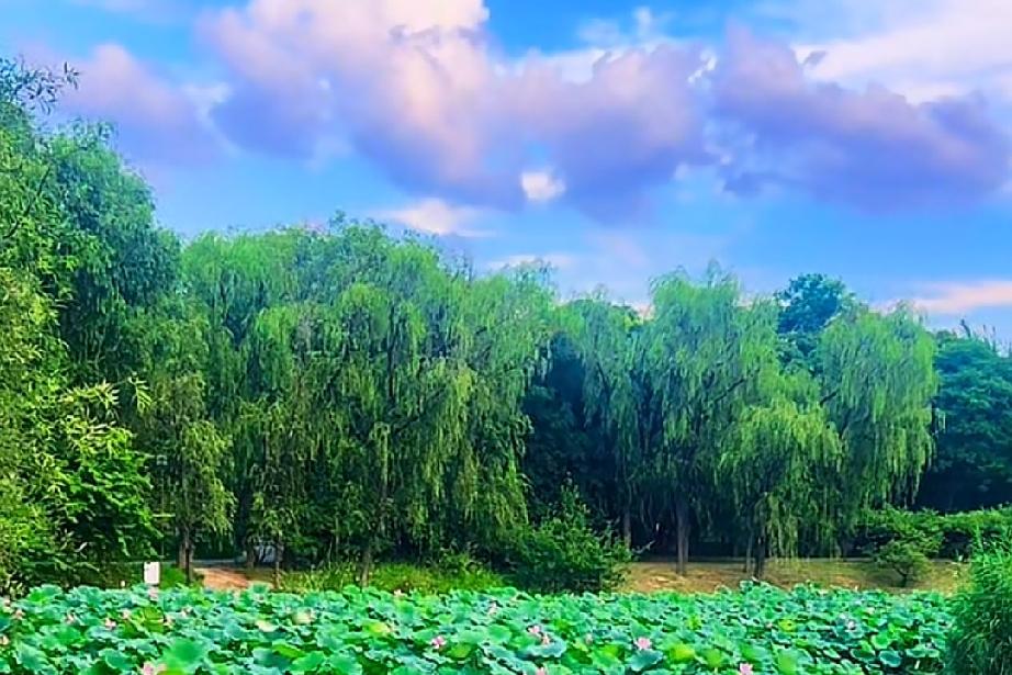 为什么忘不掉他？后来想了想，是因为他太绝情，就连分手的时候也没有说一声再见，就这