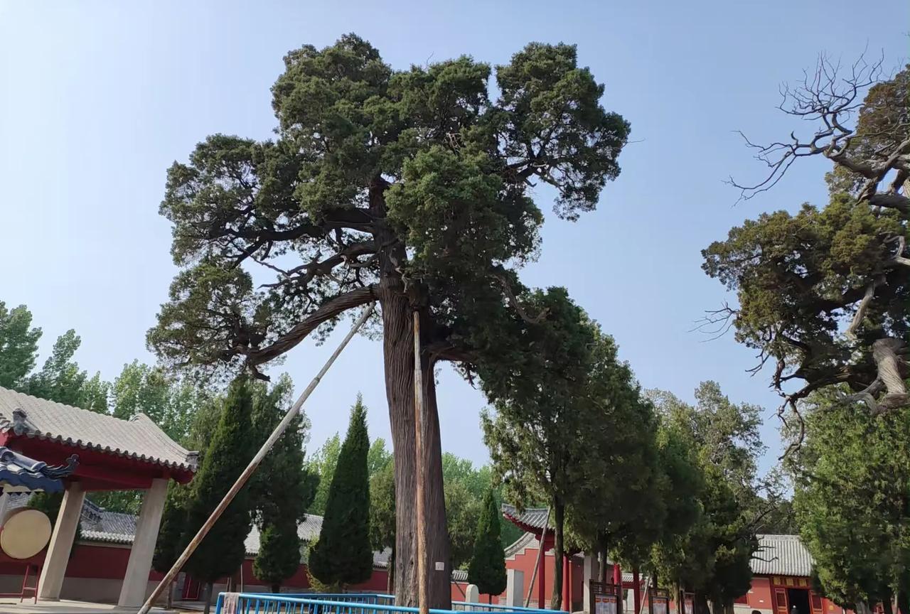今天上午在公园聊天，聊到关于看小孩的一些问题，才知道我真是单纯的很。我总觉得，看