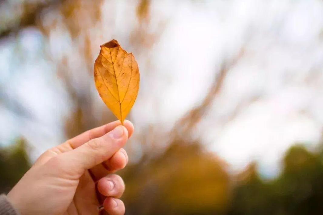 人生是一场博弈，心胸豁达开朗的人，凡事看得高远，生命有止，精神无止；挤不进的世界