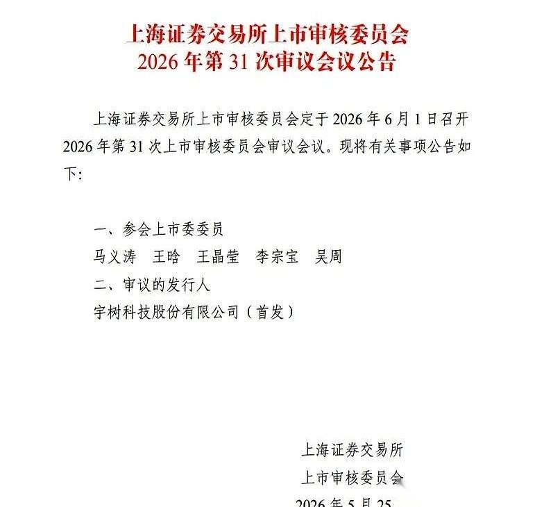 整个市场都在为人工智能狂欢，钱像潮水一样涌进去，好像那是唯一的王。所有人都快忘