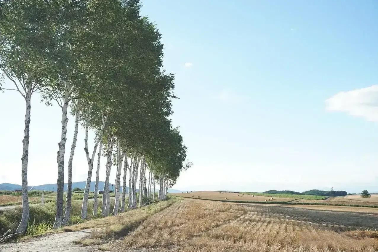 发现了吗？有的人天生就是命好。我们邻村一个女的，年轻时长的又胖又矮，人还不怎么