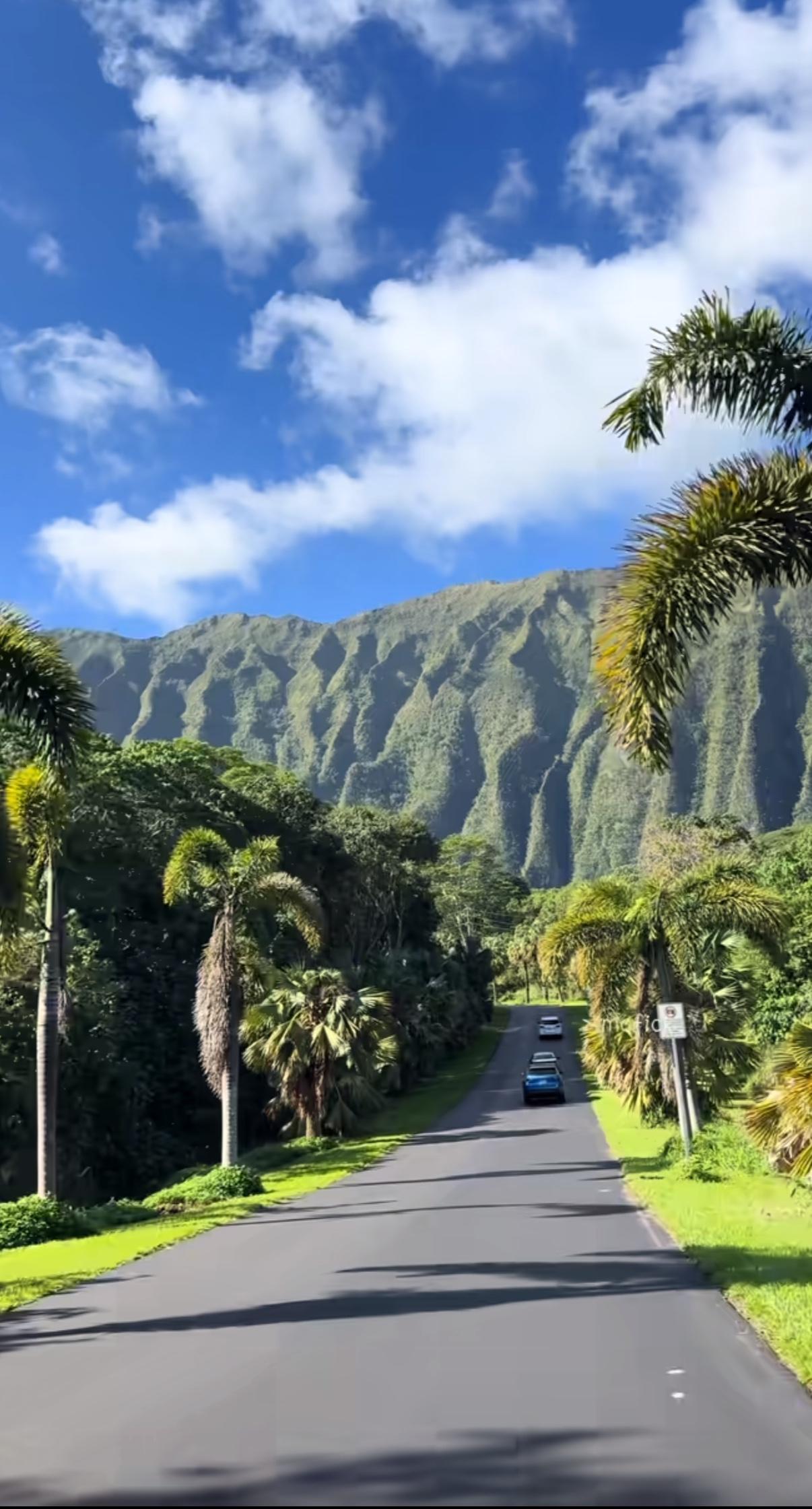 2025年十大反智言论第一名：西方抄袭永乐大典第二名：发展中国家领先发达国家