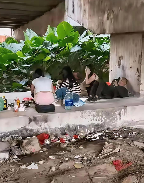 不服不行啊！流浪也能达到如此境界