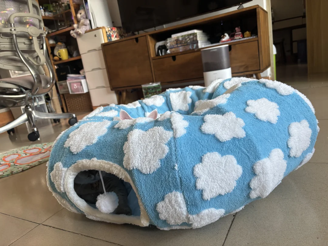 问：图上有几只猫？