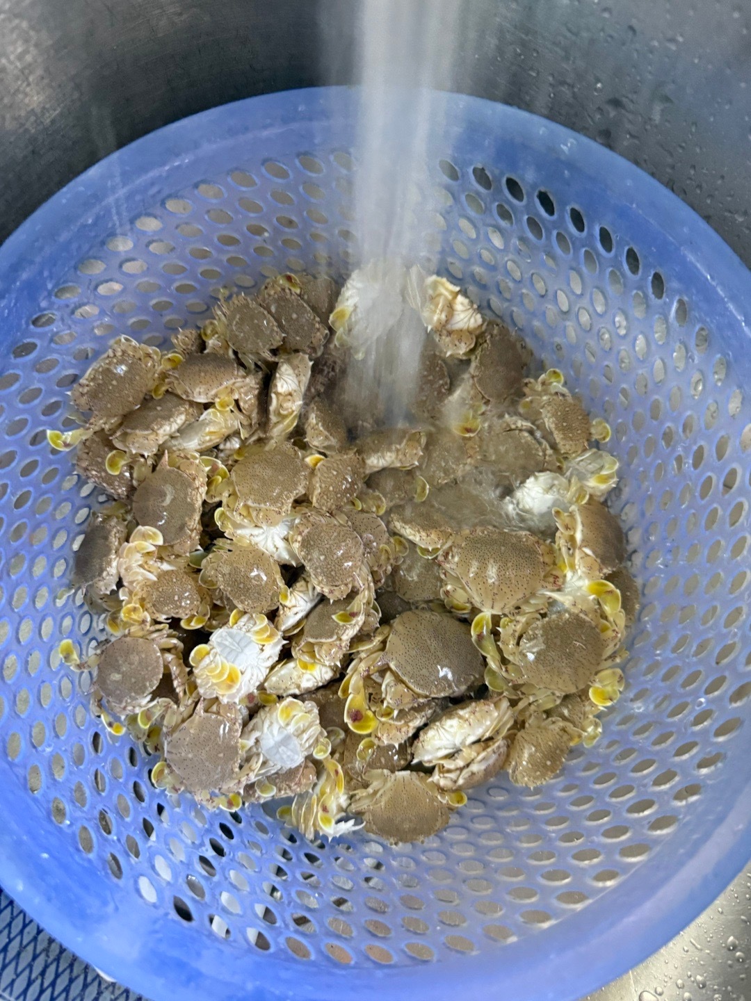 现代掌管涠洲岛赶海的神。早餐够用了[大笑][大笑][大笑]​​​