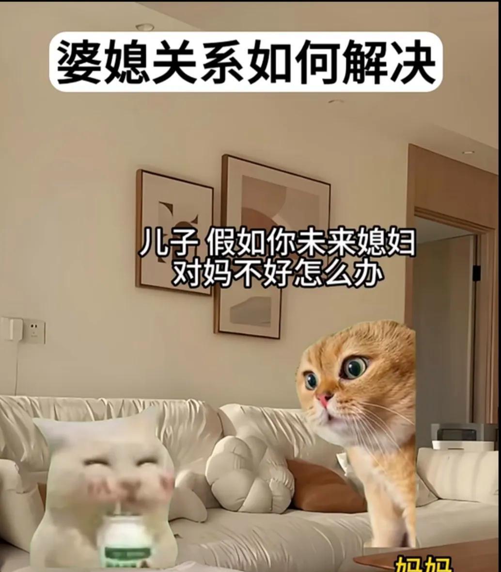 有一天，我妈突然跑来问我：儿子，假如你未来媳妇对妈不好咋办？我一听这话，立马脑子