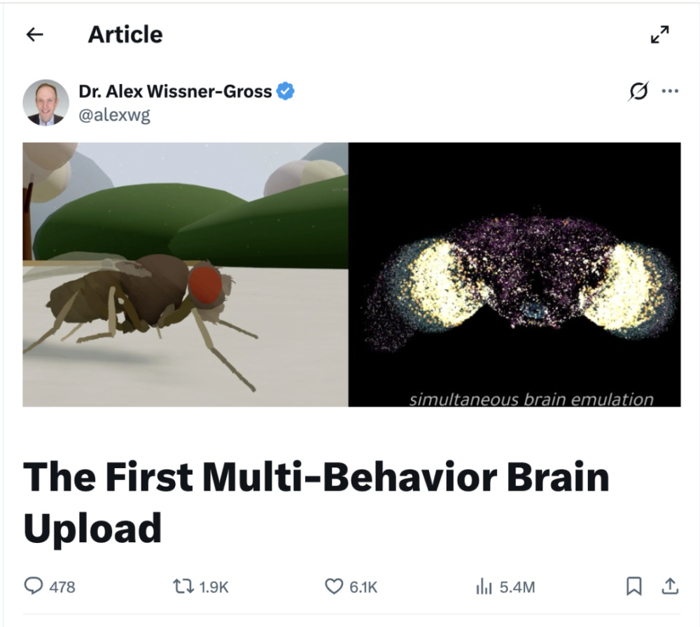 电子果蝇“活”了, “数字生命”离我们还有多远?