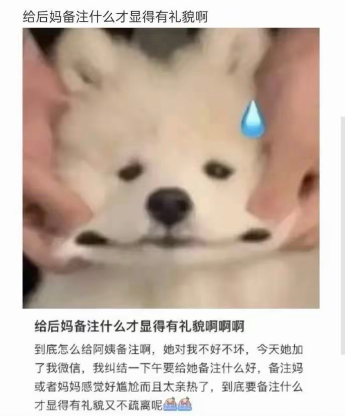 给后妈备注什么才显得有礼貌啊