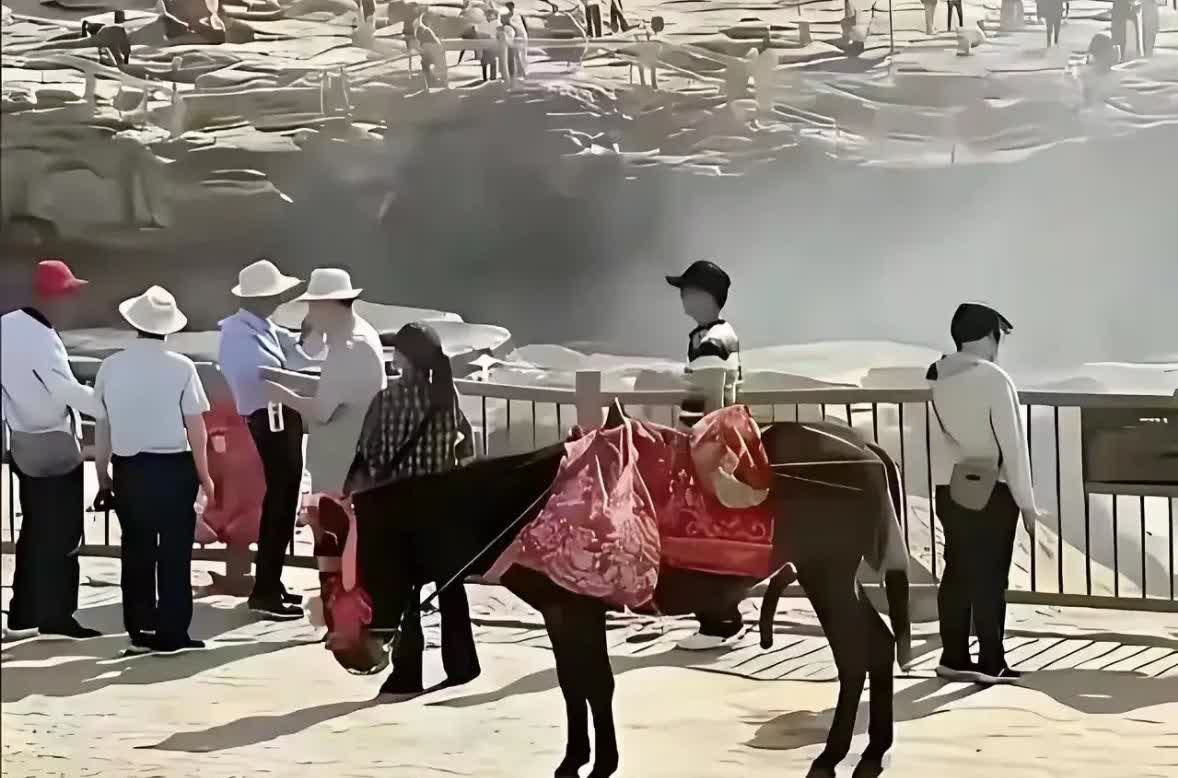 跟驴较哪门子劲！近日，壶口瀑布被一位女子成功推上热搜，没想到火的竟然不是