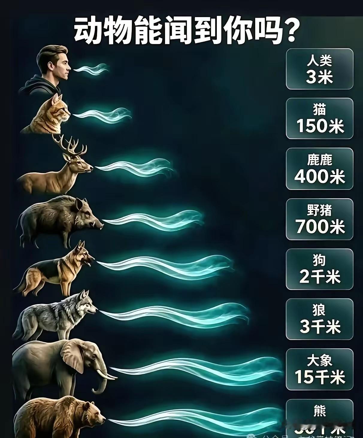 不得不说，没有对比就没有伤害！果然人发展科技，才是硬道理！[捂脸哭][捂脸哭][