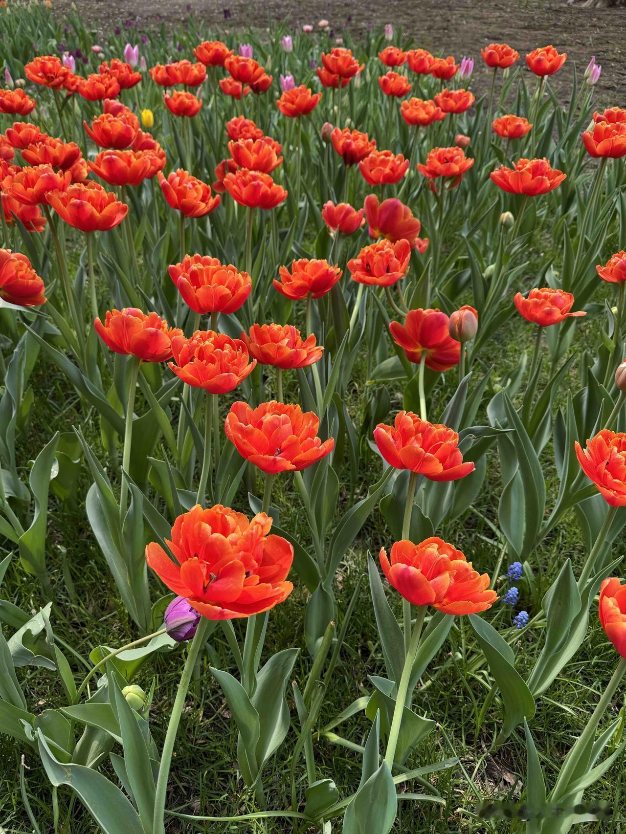 小孩去湖南研学，下高铁就下雨了，衣服淋湿，又穿着暖干。小孩回家后就放洗衣机洗了