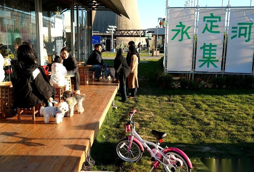 谁懂啊，在北京，秋天最舒服的事儿，根本不是去挤香山，而是找个没人催你的地方，就这