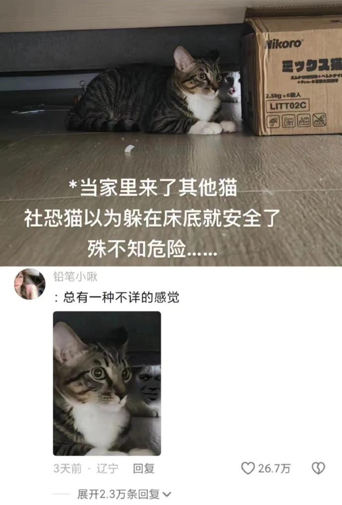 总有一种不祥的预感哈哈哈哈​​​
