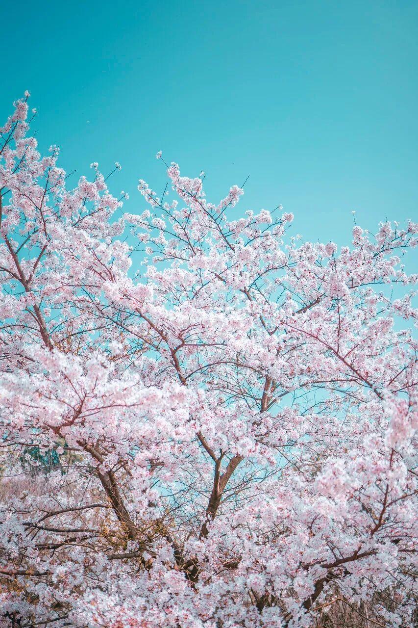 陈学冬退圈？别装了，你早就过气了“陈学冬退圈”上热搜了。点进去一看，哭笑不得