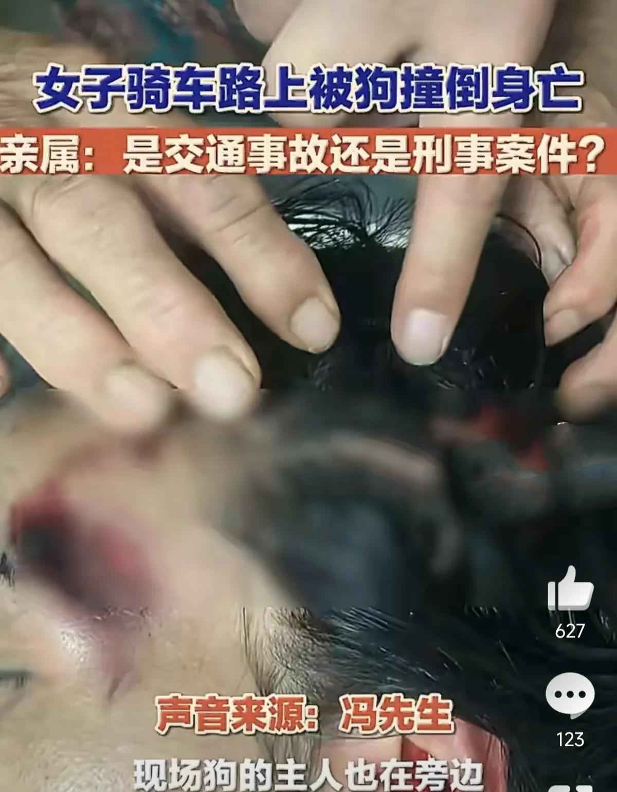 河北邯郸一只失控的大狗让一个家庭永远失去了顶梁柱。7月20日早上冯先生的弟媳张女