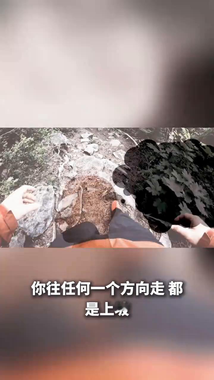 人在最低谷时千万别躺平，这5句话救过我无数次。你有没有那种时候，工作丢了、感情