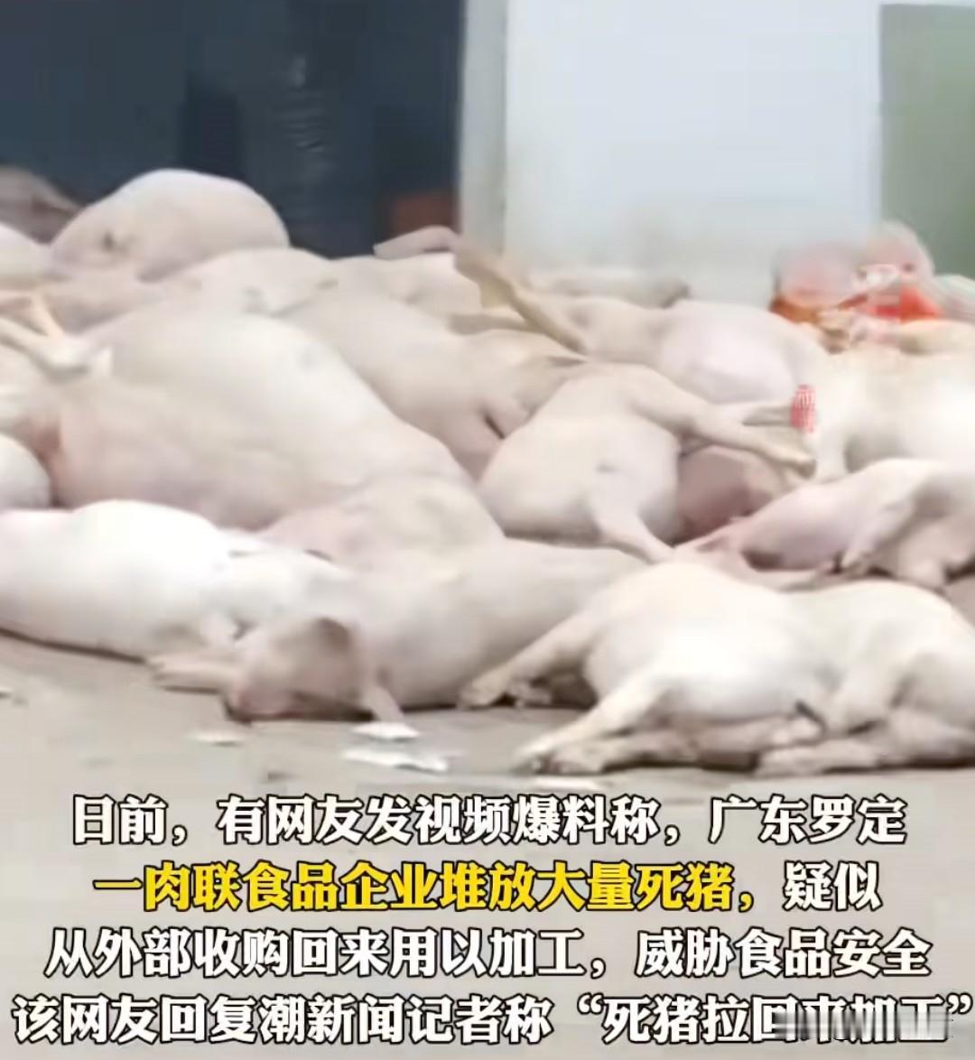 一觉醒来广东人的天塌了！他们怎么也想不到，平日里吃的猪肉真有可能是从这个肉联