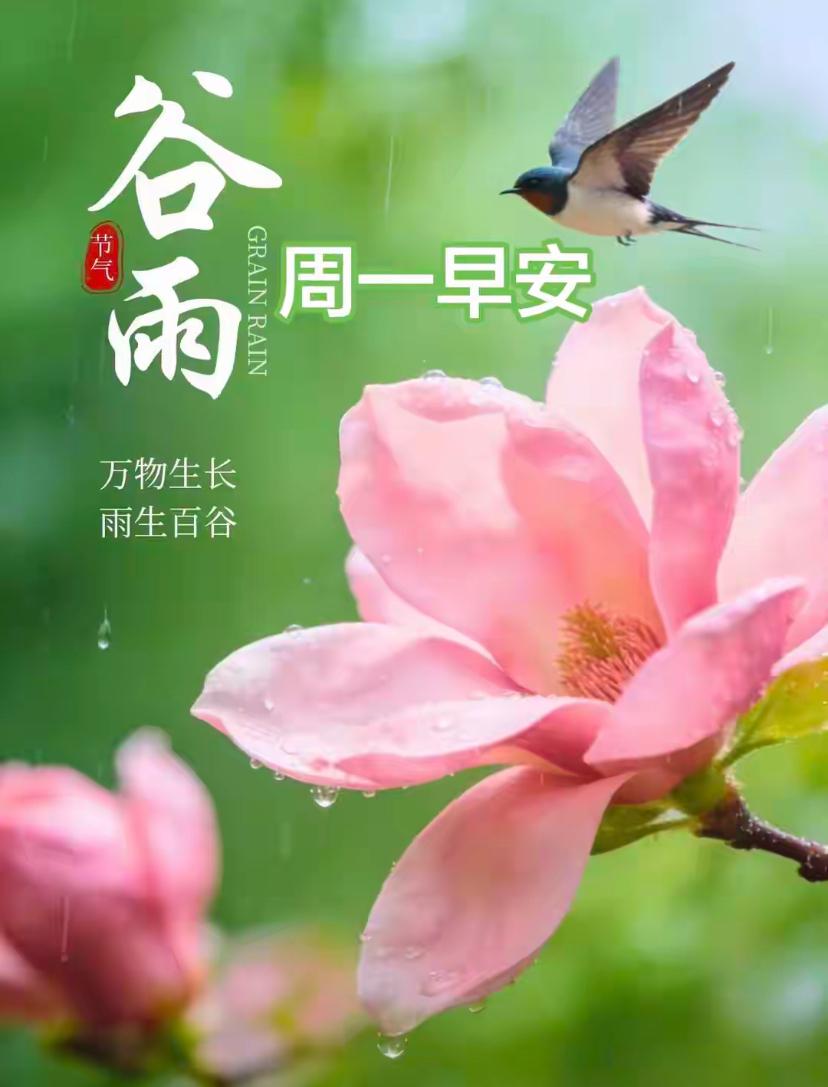 ☘️2026./4.20.周一春晨祝福🌸💦晨遇谷雨，暮春