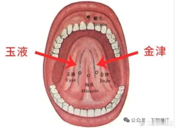 用它裹盐吃，安睡到天亮！原创岐黄门童万物疗法本文有网友岐黄门童供稿，万物小编