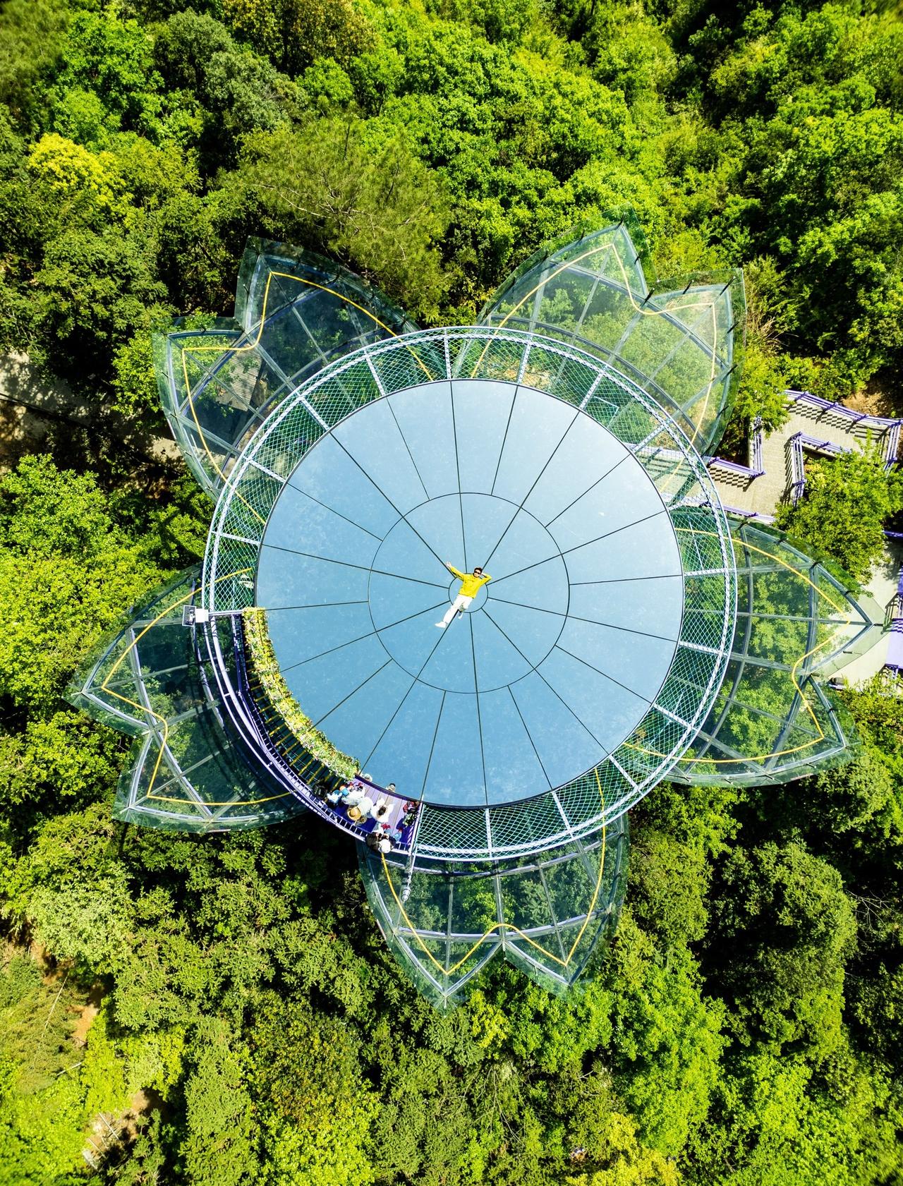 叮❗夏天避暑通道已开启👉3800米超长的森林漂流悬浮在空中的云梯天桥探秘