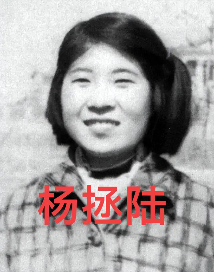 1958年，杨虎城的女儿杨拯陆在筹备婚礼期间离奇失踪，几天后，她的尸体出现在冰雪