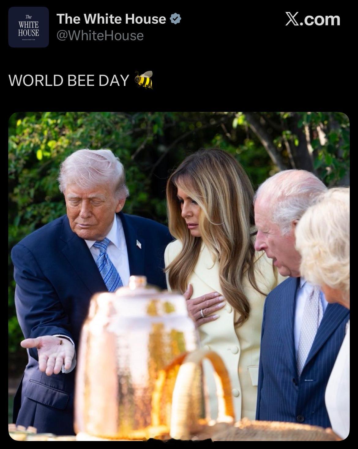 英国王室520不仅仅是我爱你，而且还是世界蜜蜂日，白宫再次晒晒老查🐝