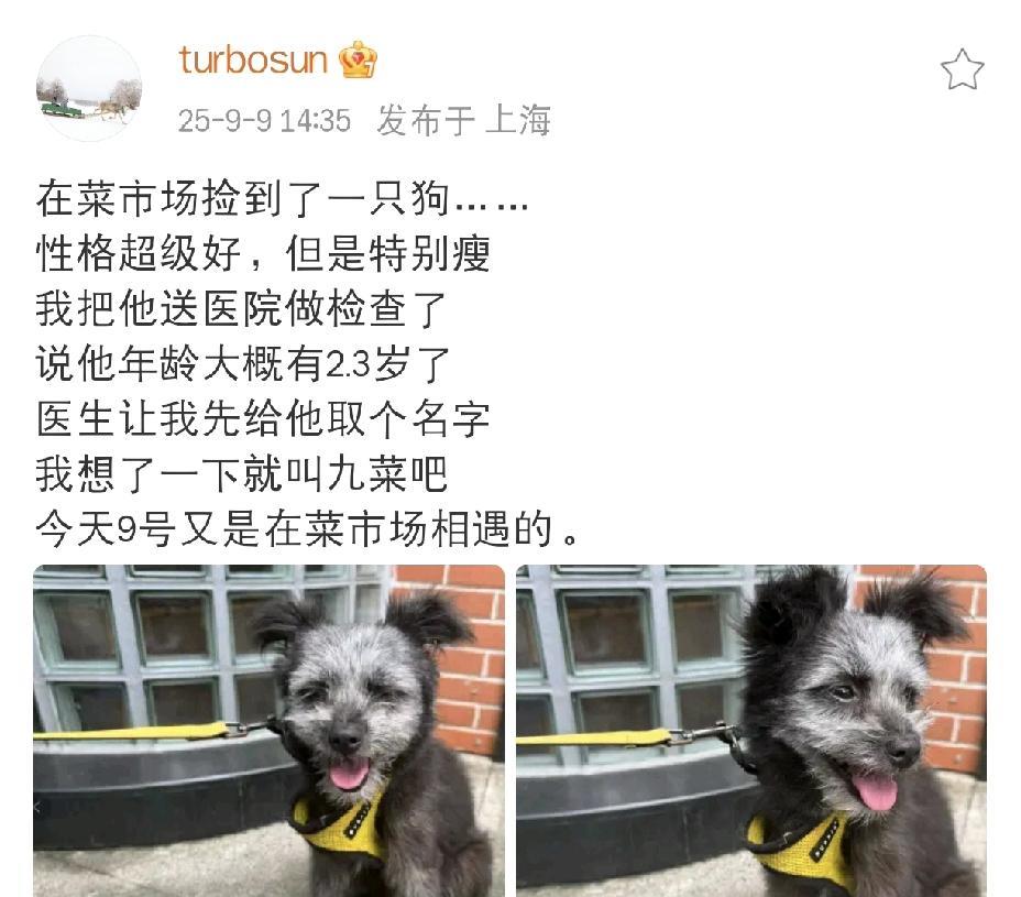 孙俪，还得是你！2025年9月9日下午，孙俪在社交平台分享了一段动态，她说自己