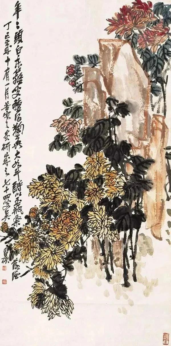 菊石图，太经典！